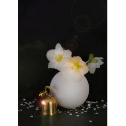 bungalow dk weihanchtsglocke golden ravi  wunderschoen-gemacht