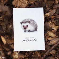 frollein luecke illustrierte postkarten igel wunderschoen-gemacht