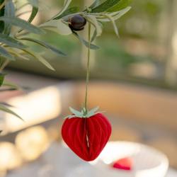 storefactory anhaenger papier erdbeeren rote frodig wunderschoen-gemacht