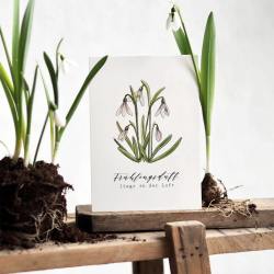 frollein luecke illustrierte karten schneegloeckchen fruehlingsduft wunderschoen-gemacht