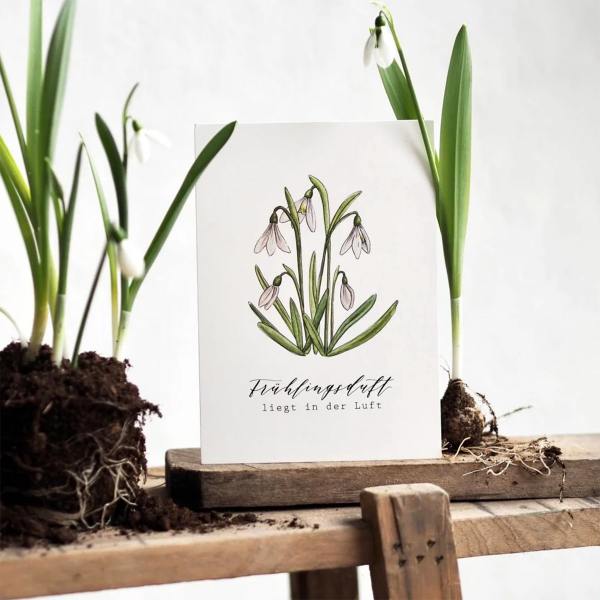 frollein luecke illustrierte karten schneegloeckchen fruehlingsduft wunderschoen-gemacht