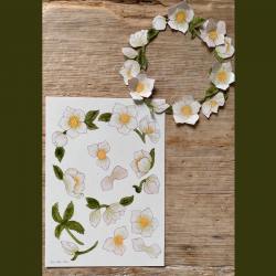 tall hat Tales diy ausschneidebogen bastelbogen christrosen papierblueten kranz wunderschoen-gemacht