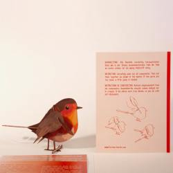 formes berlin holzkarte 3d diy rotkehlchen vogel wunderschoen-gemacht