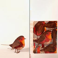 formes berlin holzkarte 3d diy frotkehlchen vogel wunderschoen-gemacht