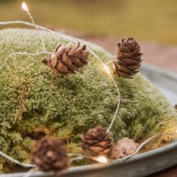 ib laursen led lichterkette zapfen wunderschoen-gemacht