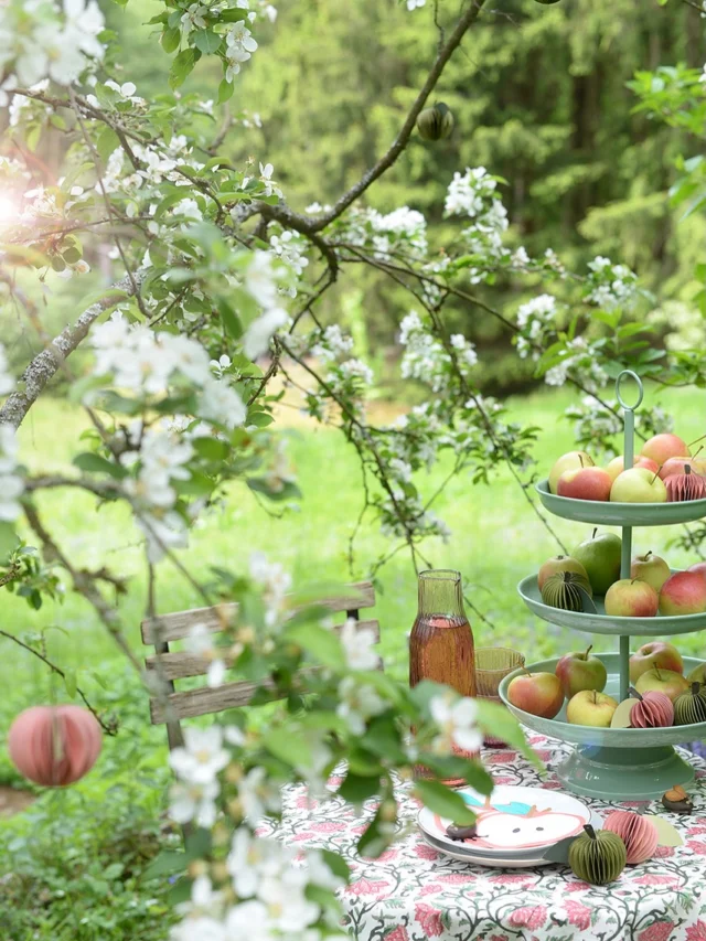 ….. träume mich zurück an den #apfelblüten -tisch im garten. die blüten sind mittlerweile als konfetti in alle richtungen geflogen, alles andere könnte ich am wochenende genau so nochmal auftischen. wetter soll ja passend werden ☺️

- so sah der apfelblütentraum noch mit blüten aus 🌸
- das apfelsorbet ist wirklich köstlich und erfrischend!
- kurz vorm abflug 🌬️
- die etagere ist ein absoluter allrounder und in jeder jahreszeit einsetzbar
- unvergänglich: honeycombäpfelchen aus papier und apfelblüten aus filz
- so cute! 😍
- wenns keine echten äpfel gibt, wirds passend gemacht
- bis nächstes jahr…. 🤗
- seltener einblick in den garten

alle gezeigten produkte könnt ihr auch außerhalb der apfelblüte im #wunderschoengemachtshop bestellen 😉