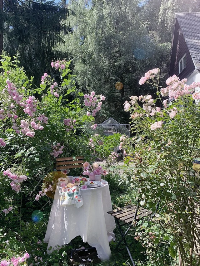 ….. #sommergeburtstagsparty im rosenmeer 🌹 
auch wenn unsere rosen dieses jahr hitzebedingt leider nicht so üppig (wie in den letzten jahren) blühen, ist eine kleine geburtstags- #teatime im rosigen ambiente immer eine gute idee!

- was für ein duft!
- süsseste geburtstagskarte in rosewein-flaschenform 
- zu einer richtigen teatime gehören auf jeden fall scones, clotted cream und erdbeermarmelade - lecker!
die süßen rosa schälchen und becher gibt es auch bei uns im shop 🙋🏻‍♀️
- perfekt für eine blumige geburtstagsfeier: die mit blümchen bedruckten kerzen und streichhölzer mit erdbeermotiv 🍓 
- die petit fours sehen noch entzückender aus, wenn sie auf rosentellern serviert werden

rosige und sommerliche geburtstagsdeko gibt es im #wunderschoengemachtshop - link in der bio 👆🏻